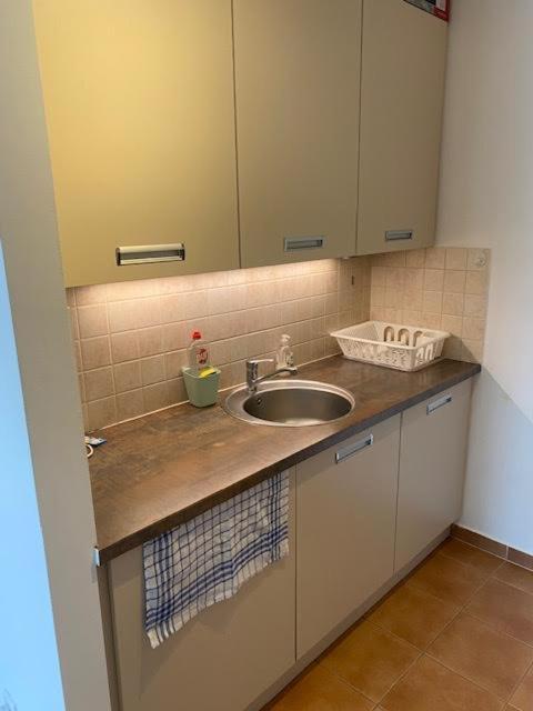 Roland Apartment Downtown - Garay Budapest Luaran gambar