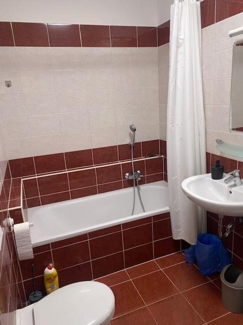 Roland Apartment Downtown - Garay Budapest Luaran gambar